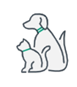 Animal Care